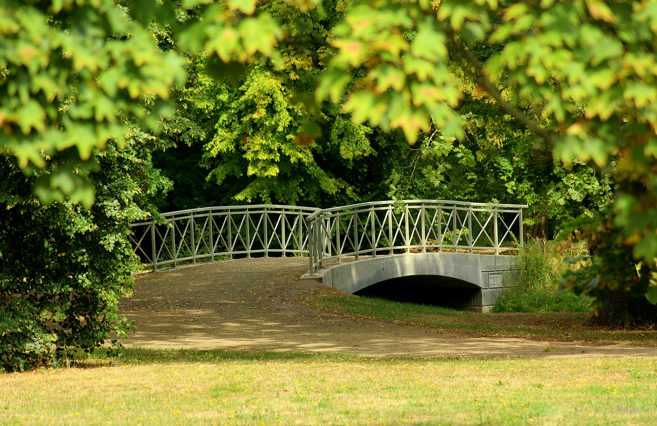 bridge  park  landscape free photo