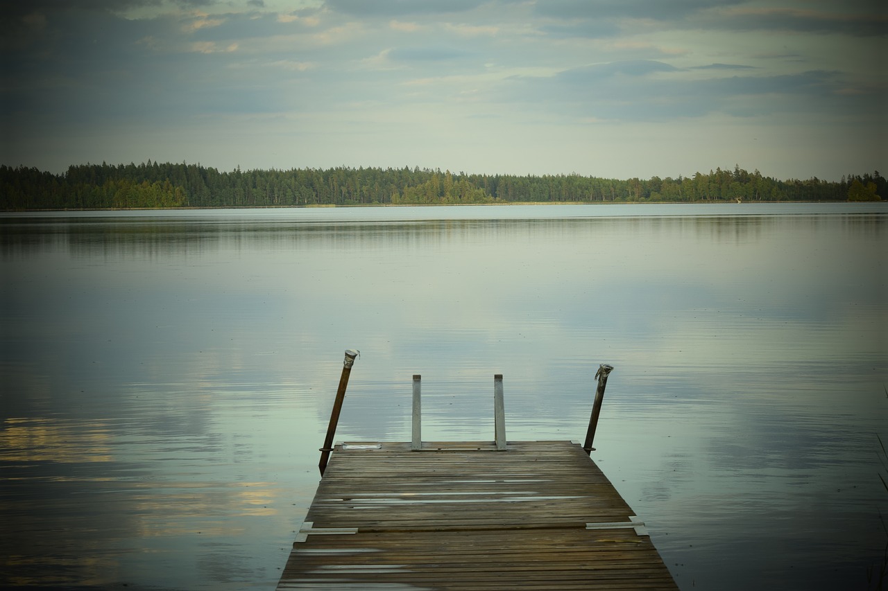 bridge  water  nature free photo