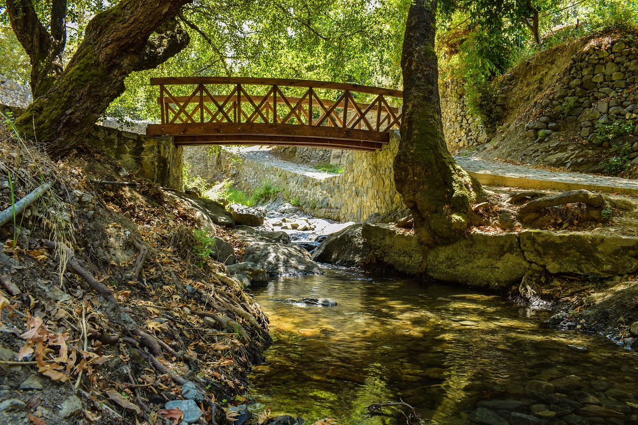 bridge  wooden  river free photo