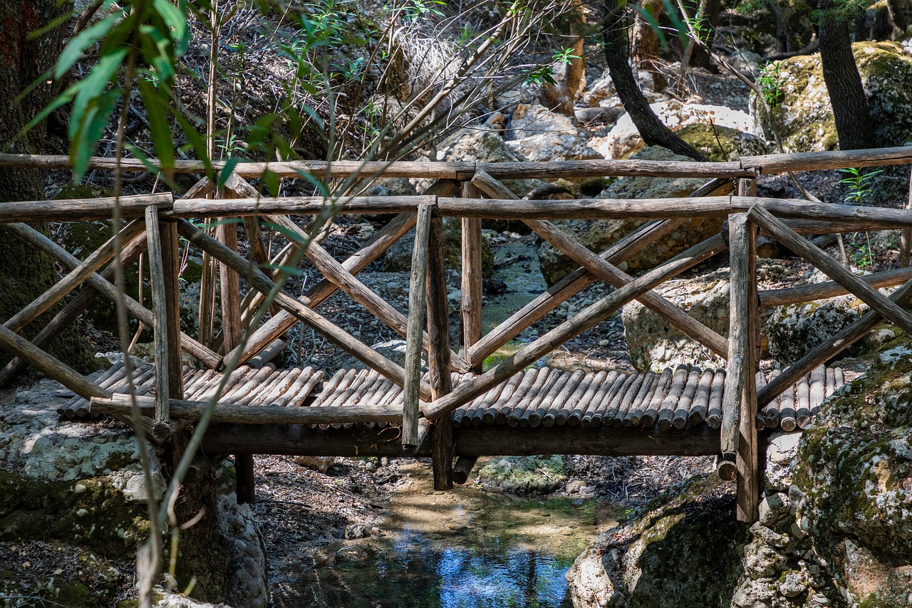 bridge  footbridge  wood free photo