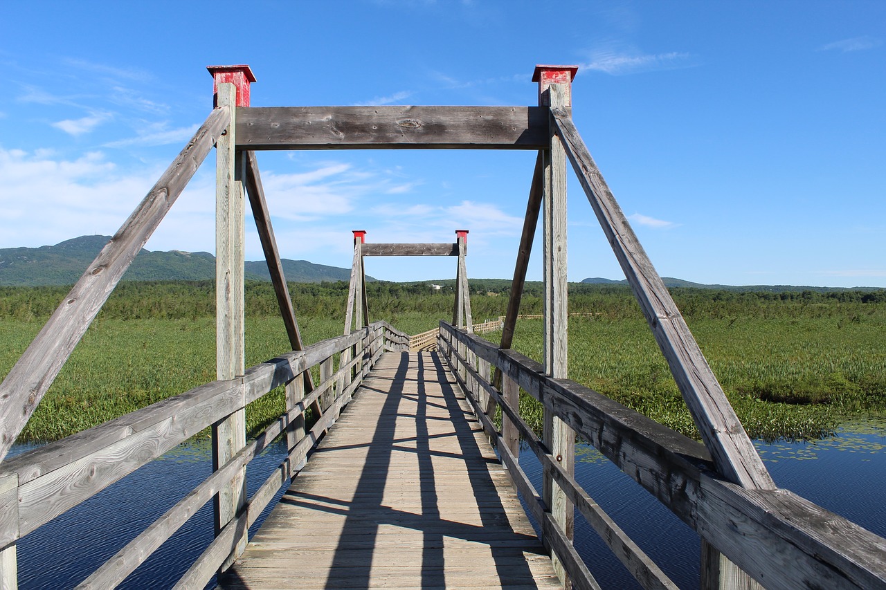 bridge  wood  old bridge free photo