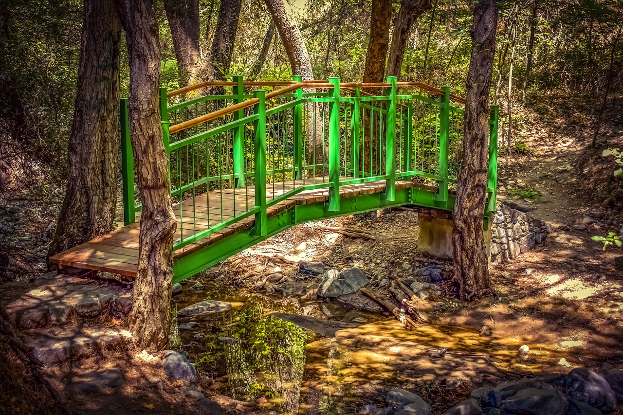 bridge  wooden  creek free photo