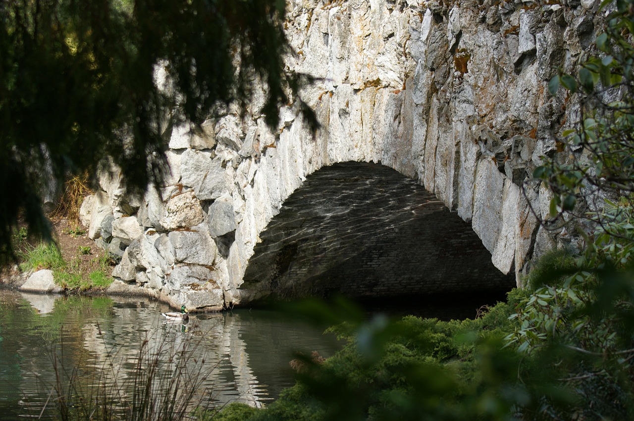 bridge river nature free photo