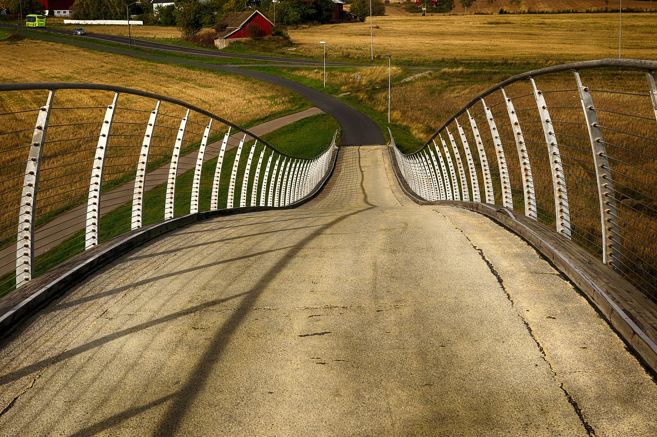 bridge  architecture  landscape free photo