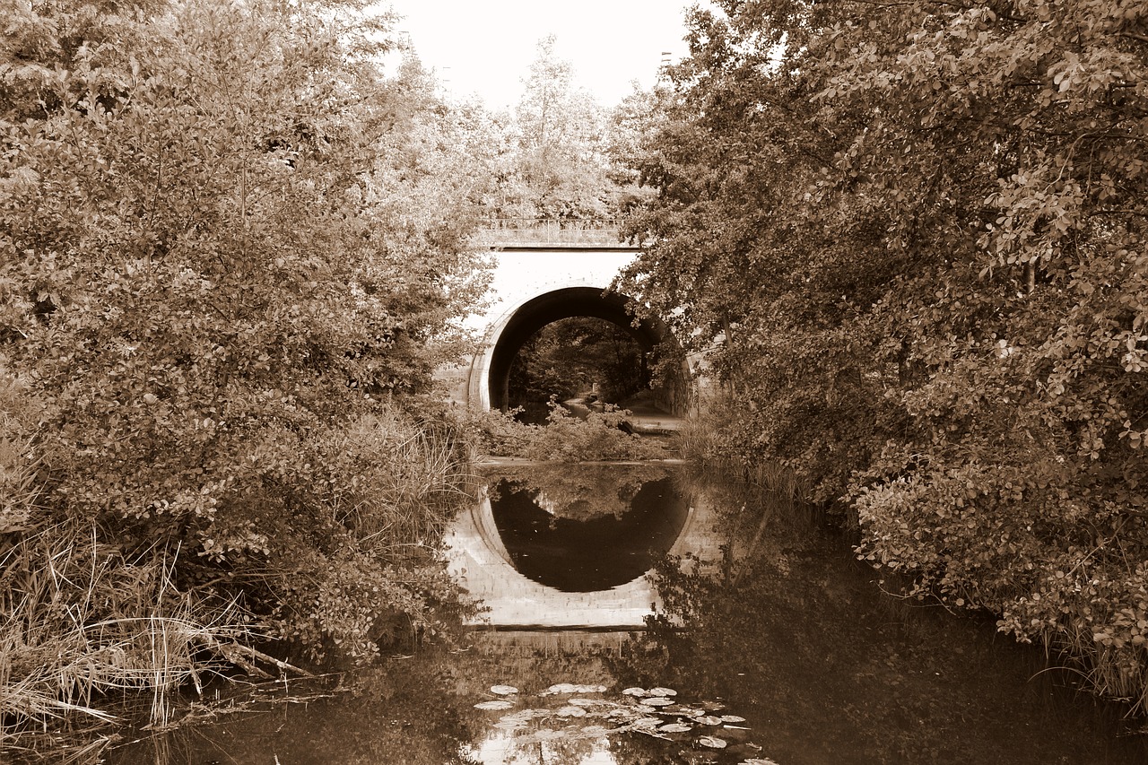 bridge  river  architecture free photo