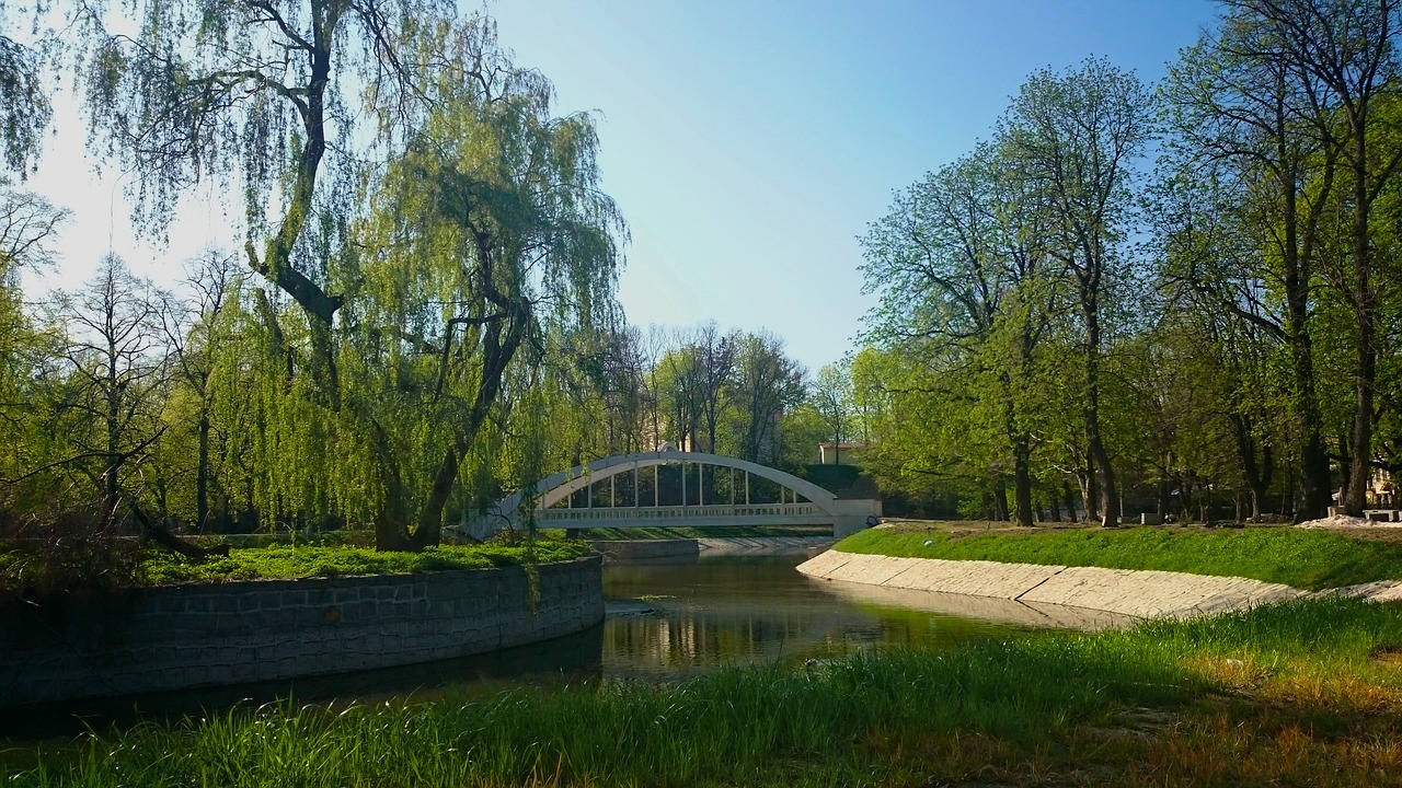 bridge  architecture  river free photo