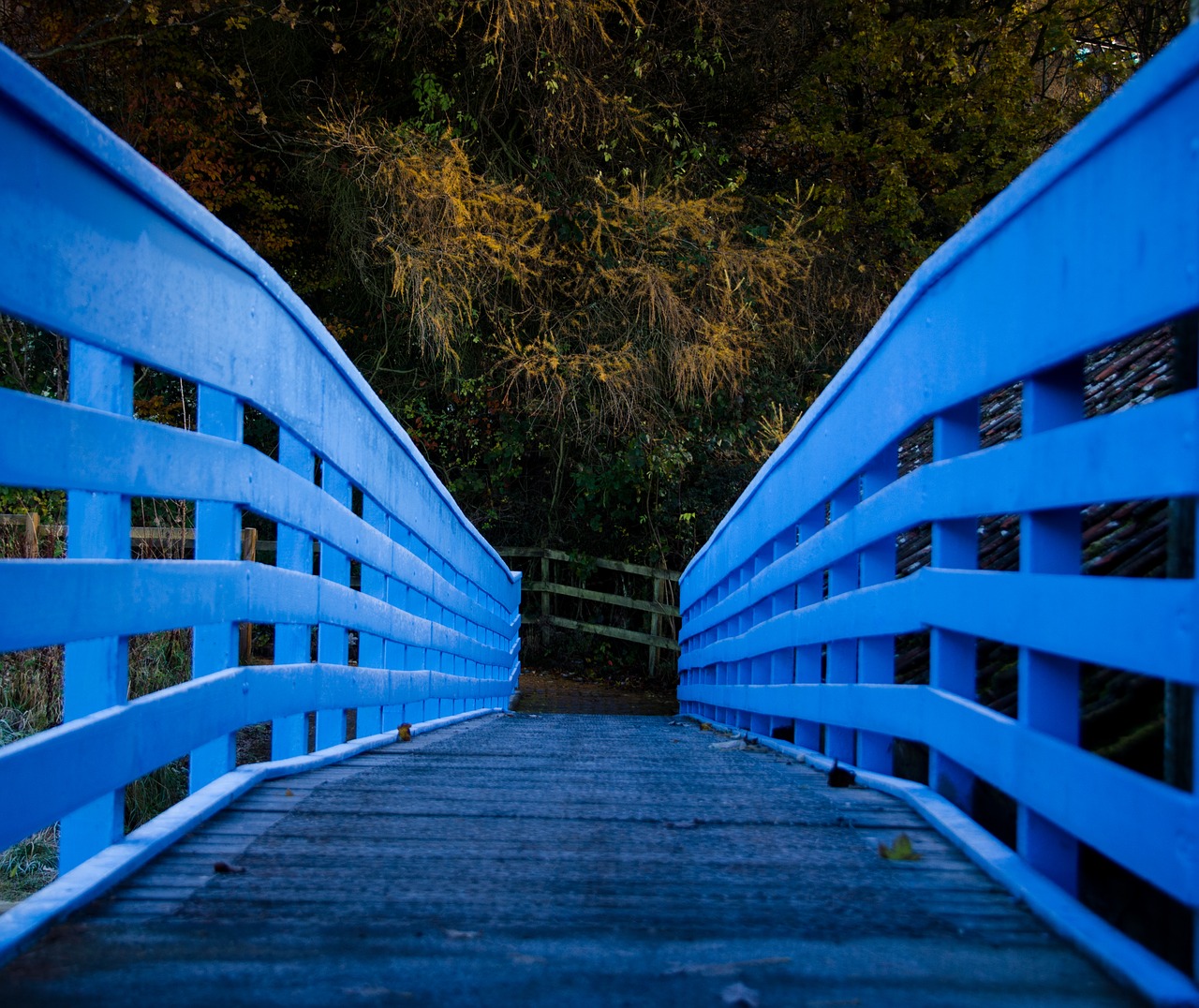 bridge  wooden  wood free photo