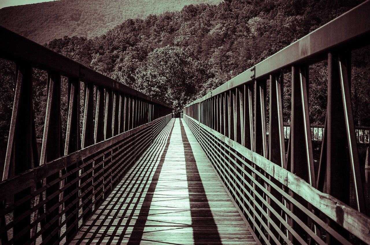 bridge  lines  architecture free photo