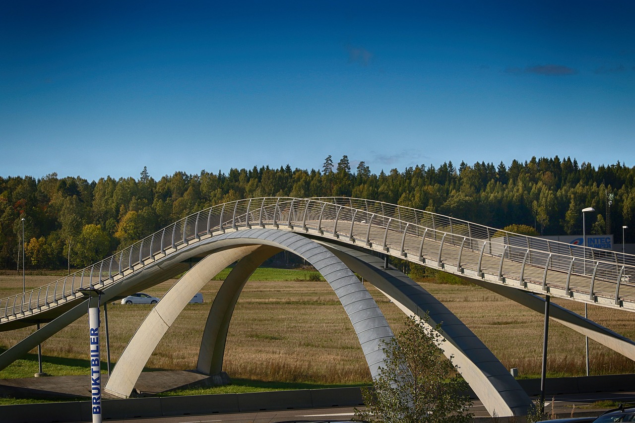 bridge  landscape  architecture free photo