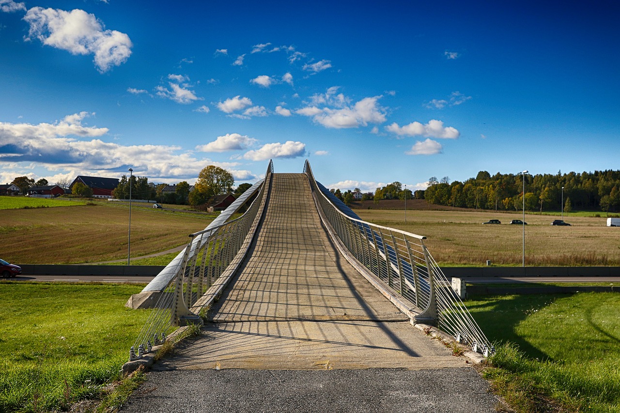 bridge  landscape  architecture free photo