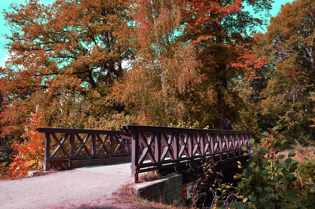 bridge  park  trees free photo