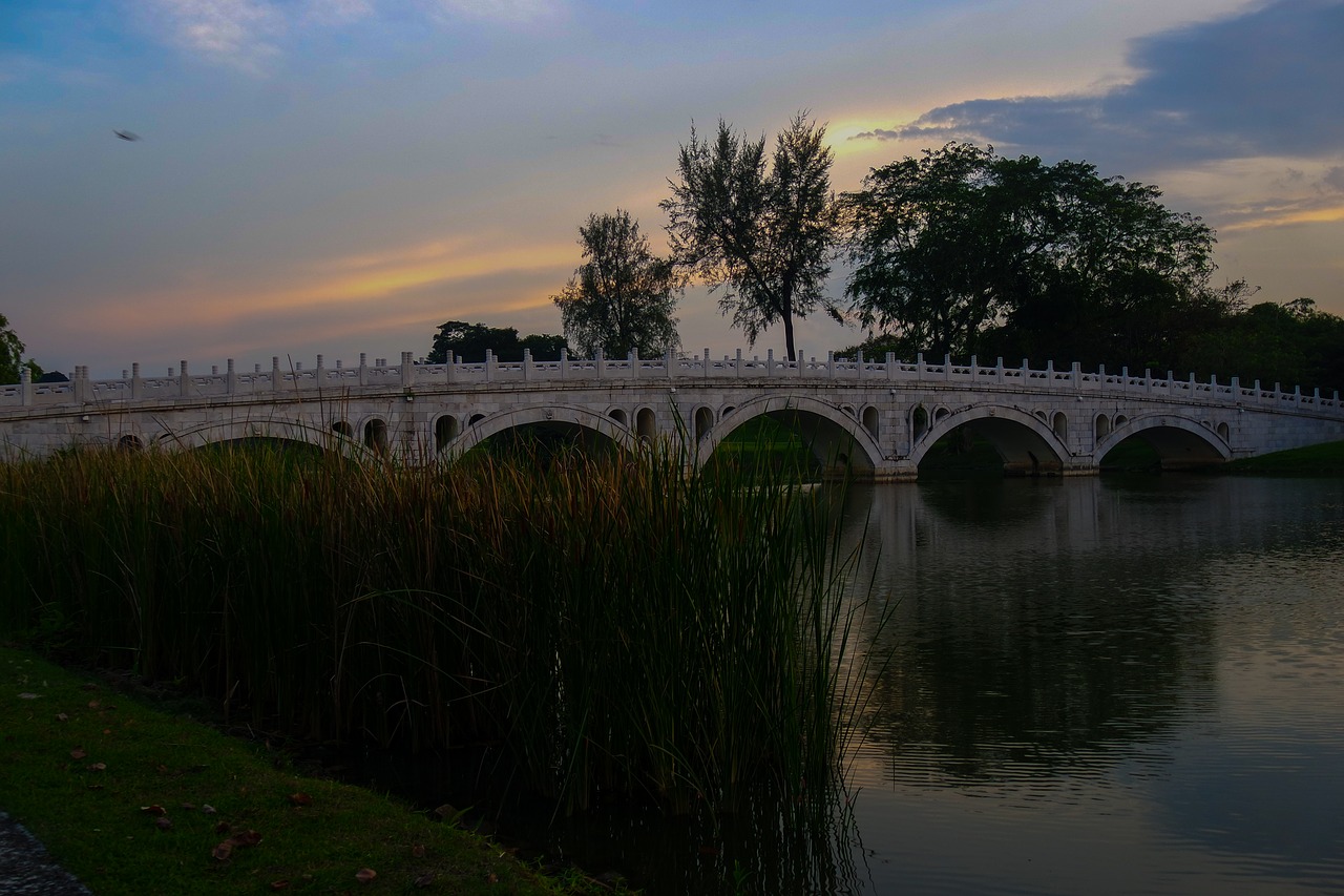 bridge  dark  park free photo