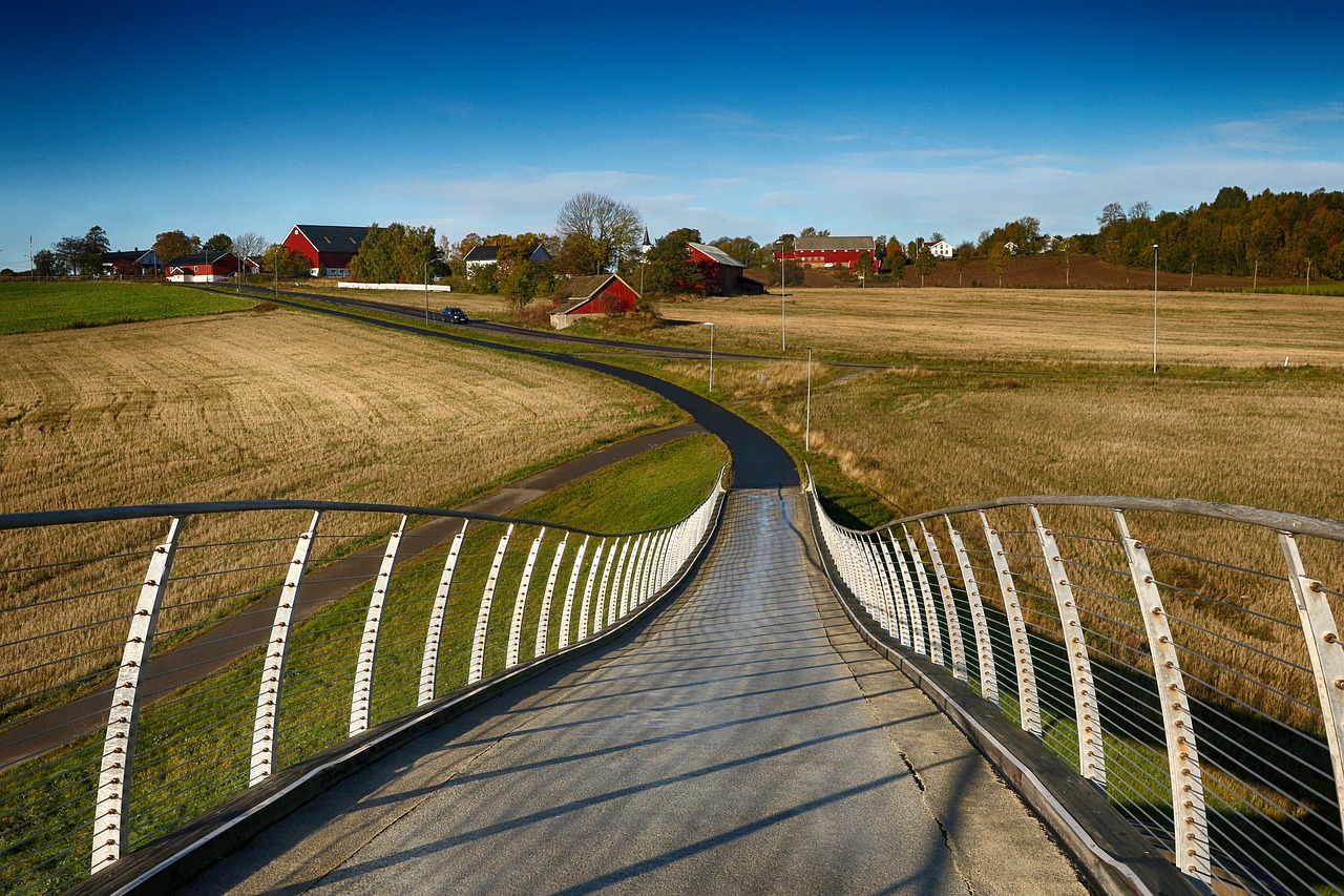 bridge  landscape  architecture free photo