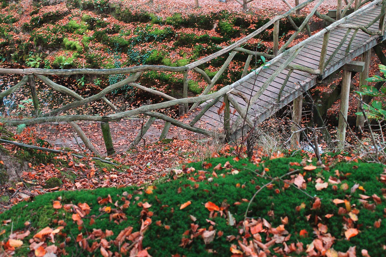 bridge  wooden  wood free photo