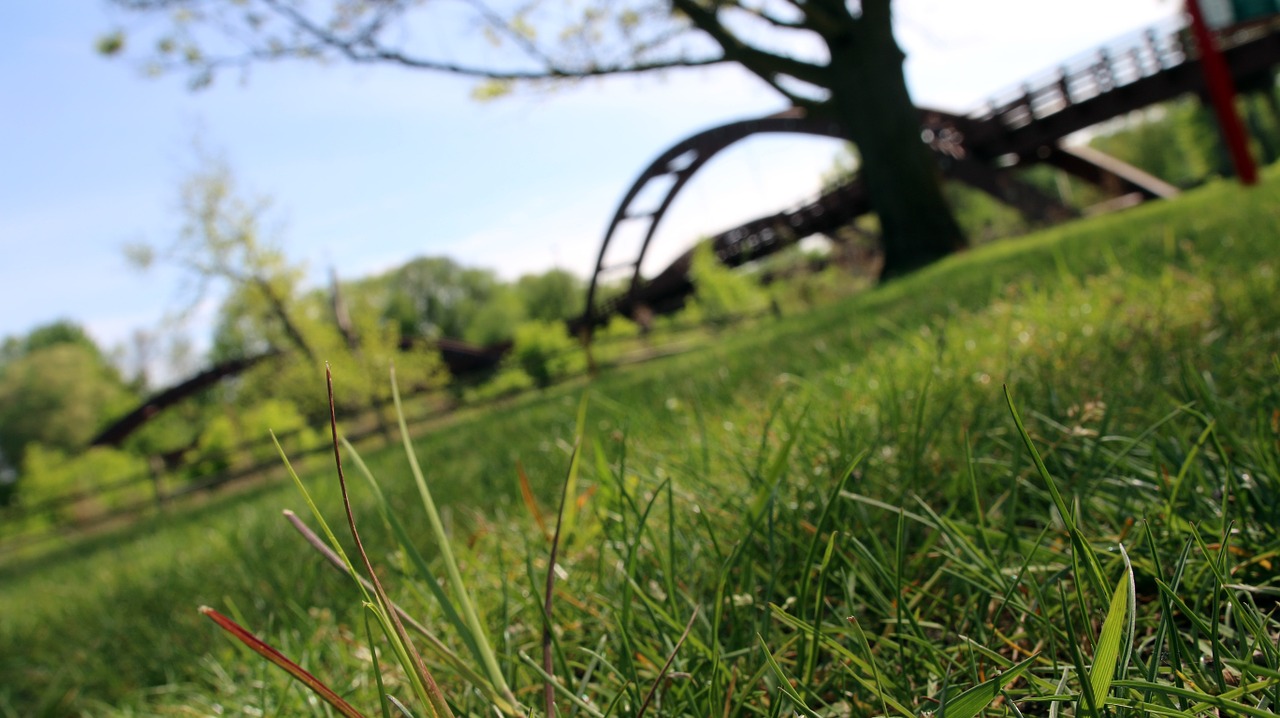 bridge park grass free photo