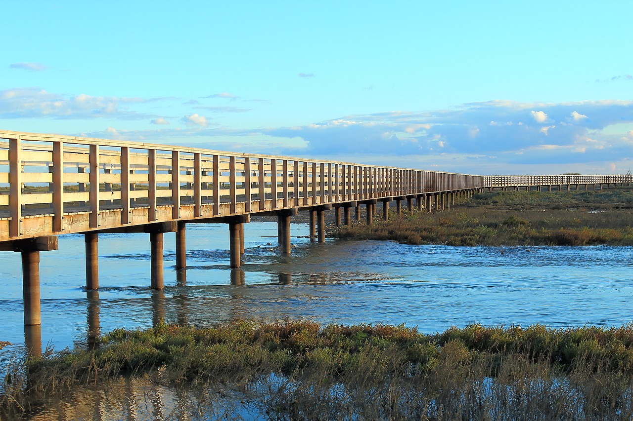 bridge  wood  water free photo