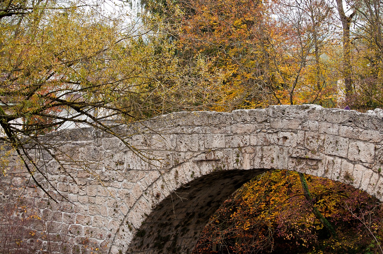 bridge  trees  nature free photo