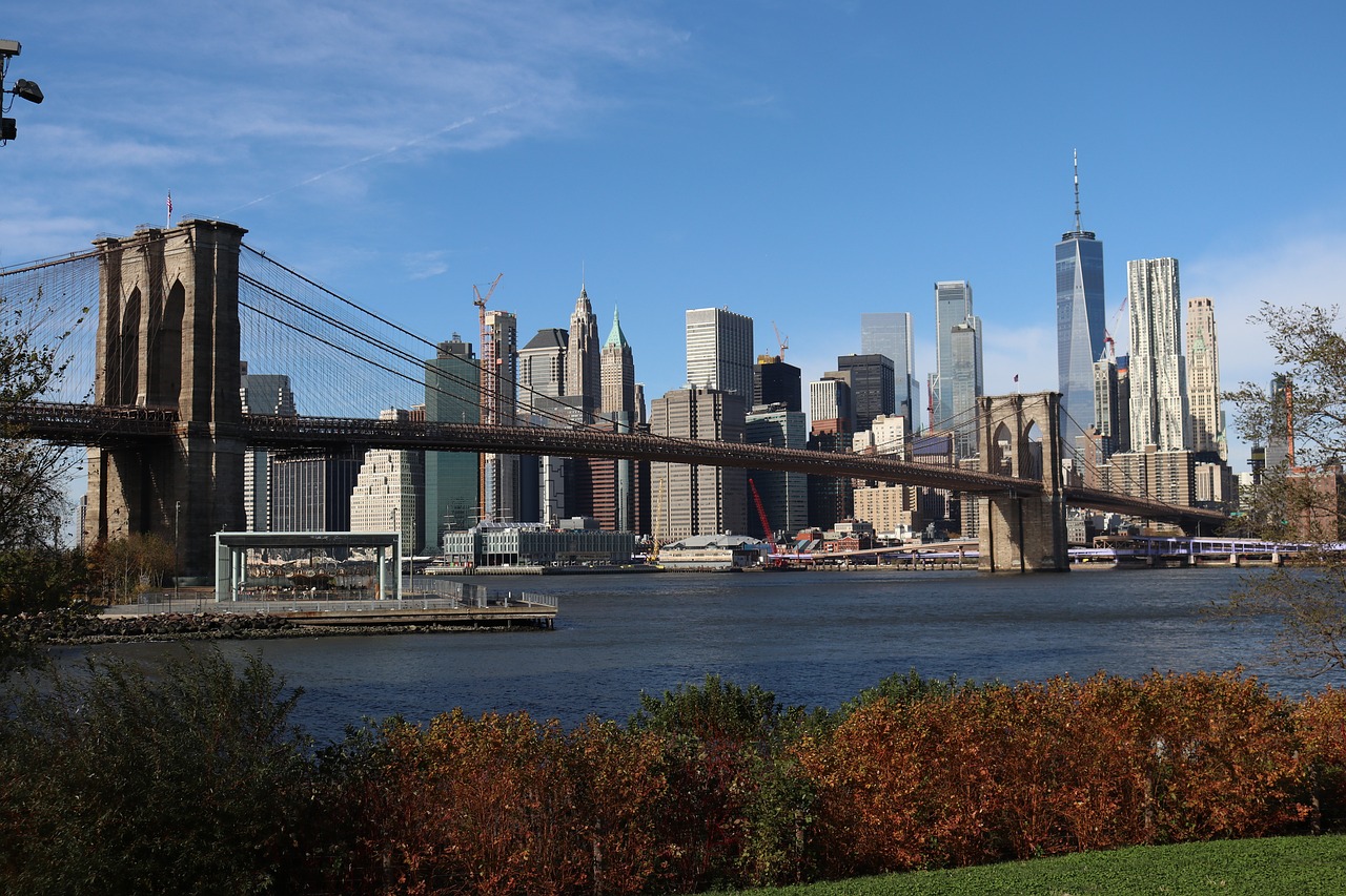 bridge  brooklyn  skyline free photo