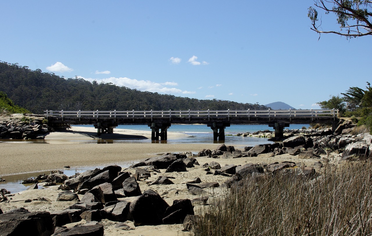 bridge sand water free photo