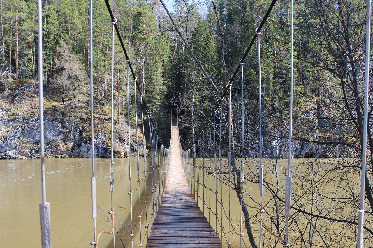 bridge  suspension bridge  the rope bridge free photo