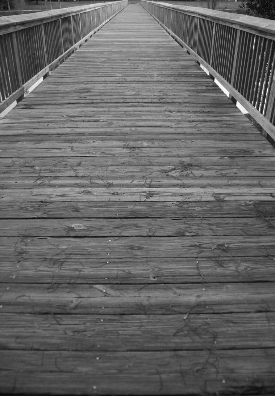 bridge wooden bridge walkway free photo