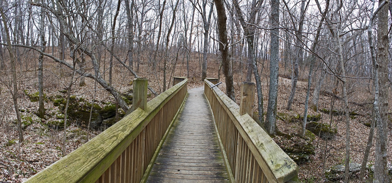 bridge  walkway  pathway free photo