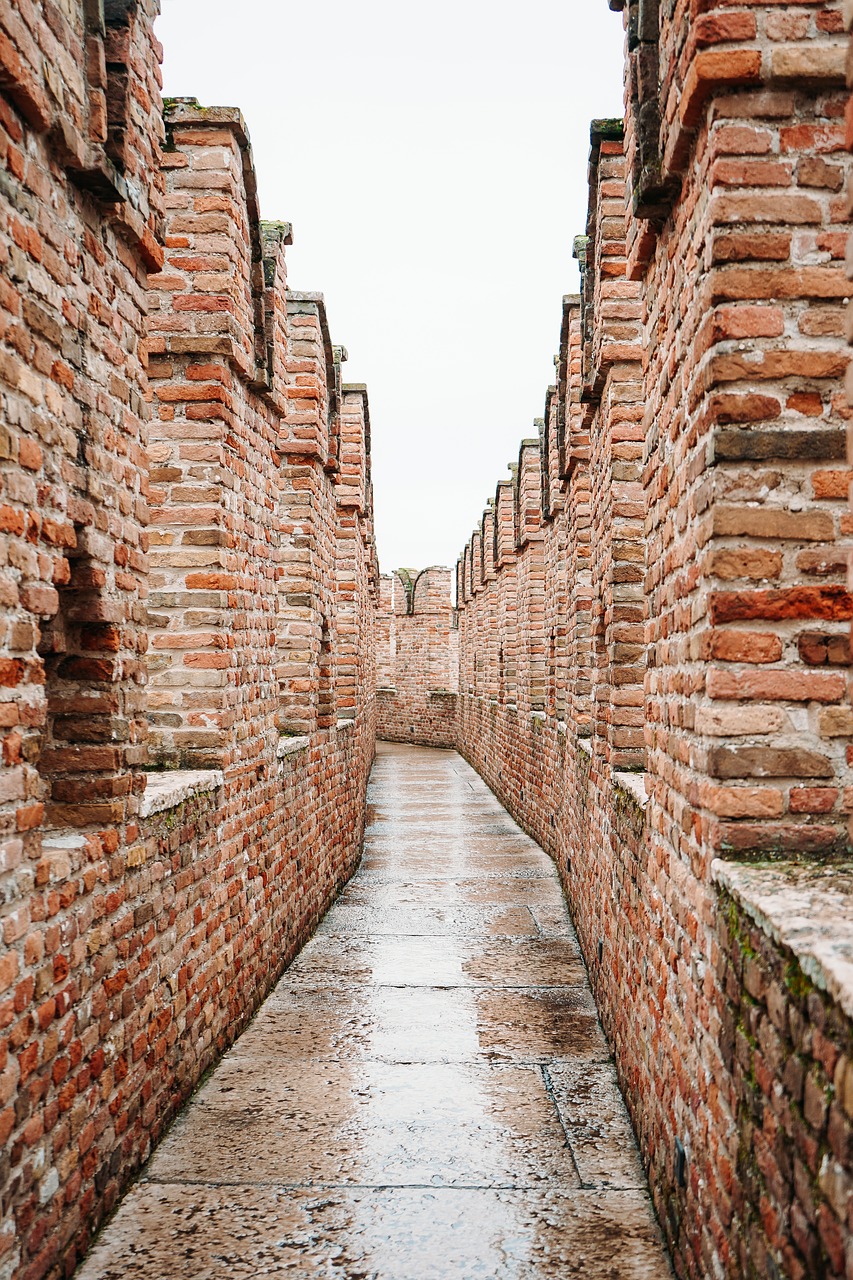 bridge  architecture  travel free photo