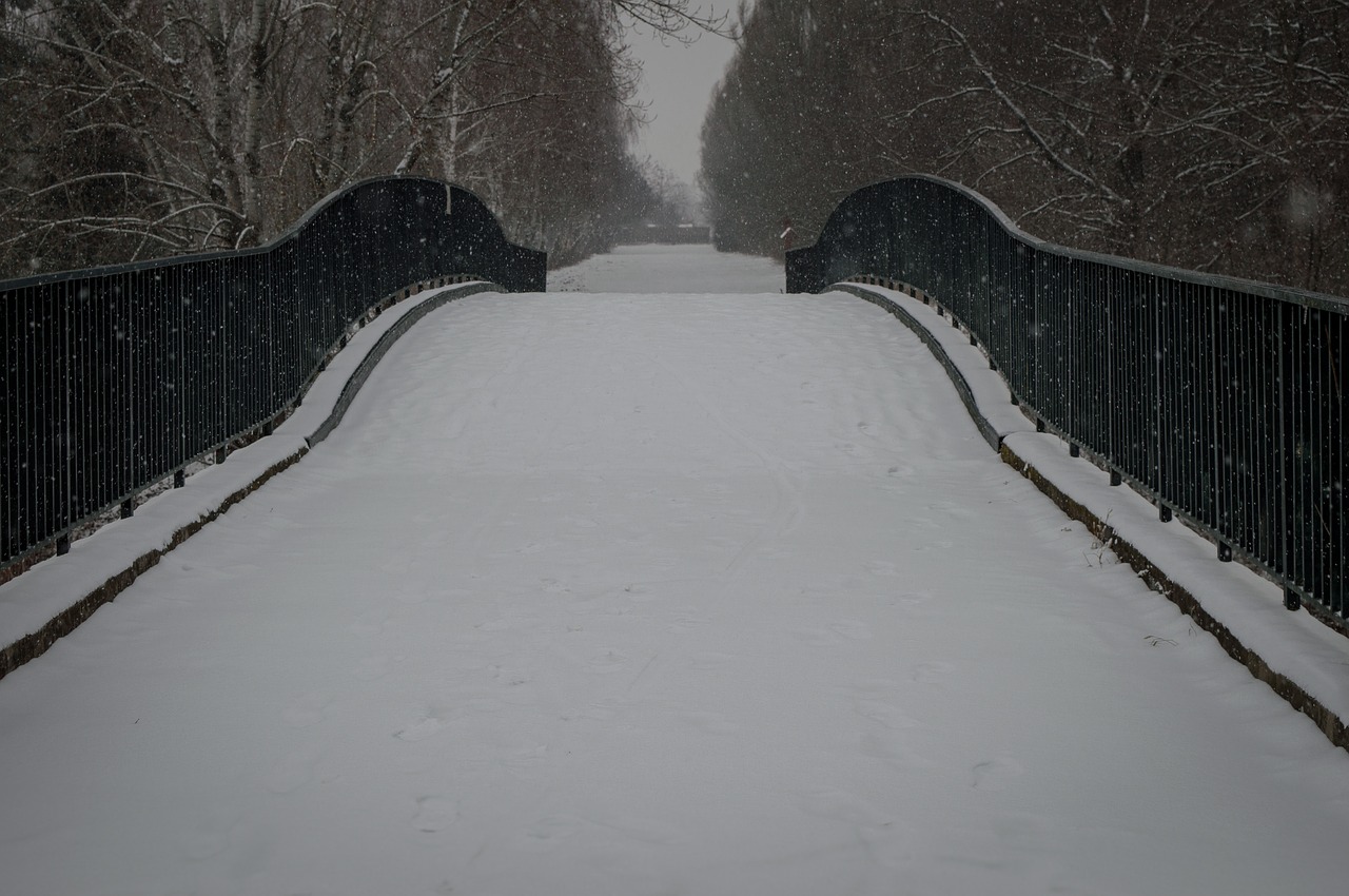 bridge  snow  winter free photo