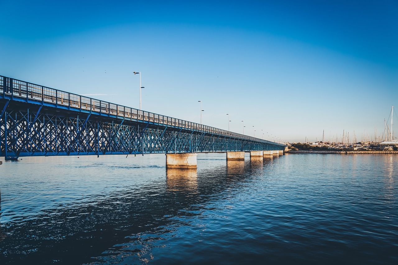 bridge  sunset  architecture free photo