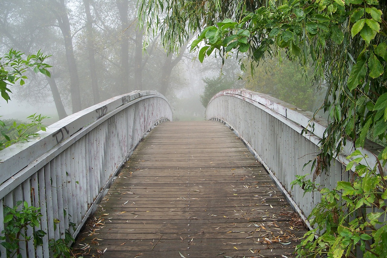 bridge  romantic  view free photo