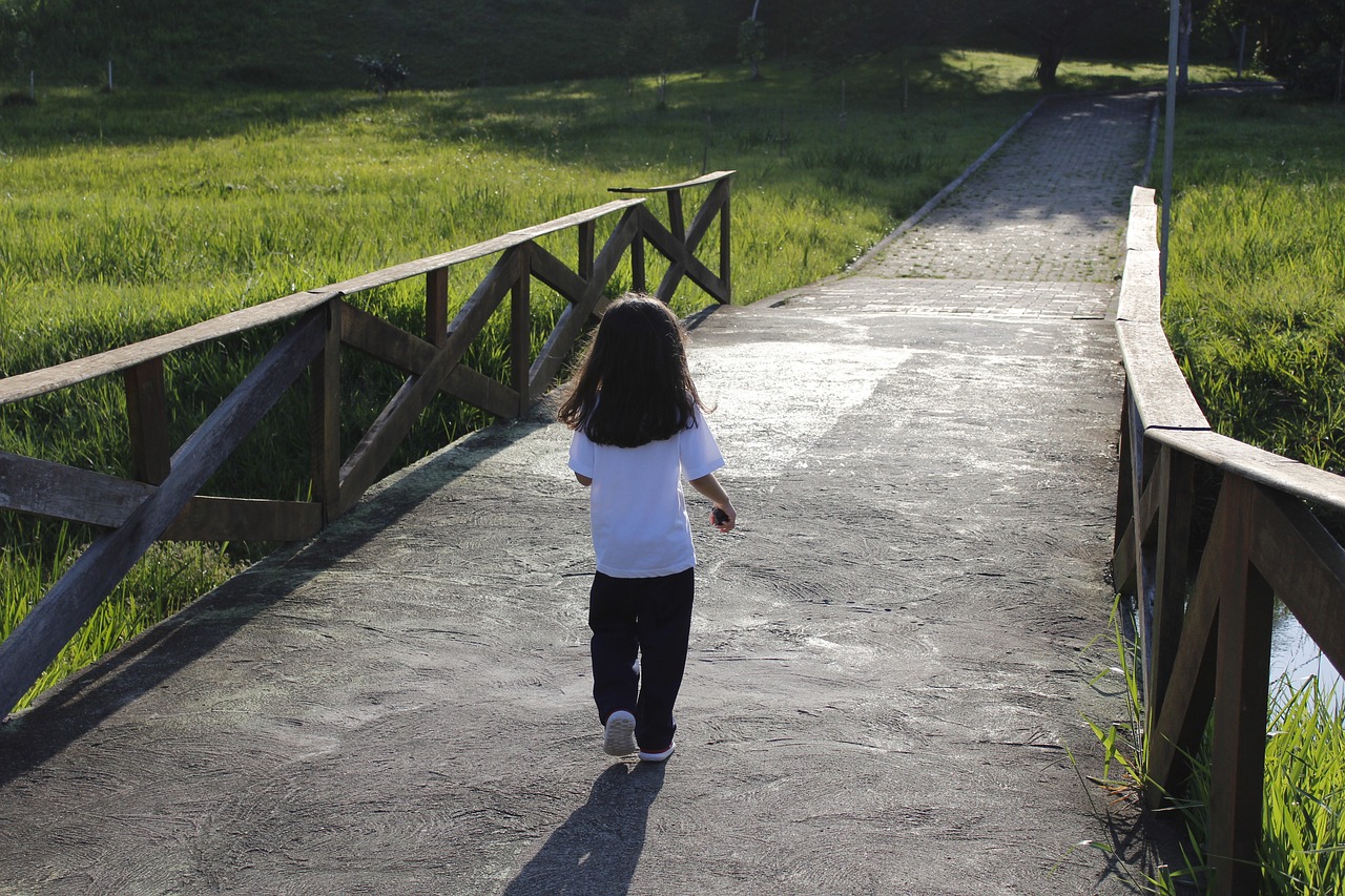 bridge  girl  road free photo