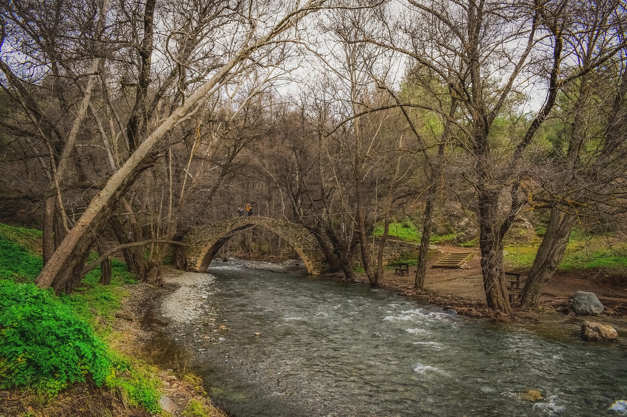 bridge  old  architecture free photo