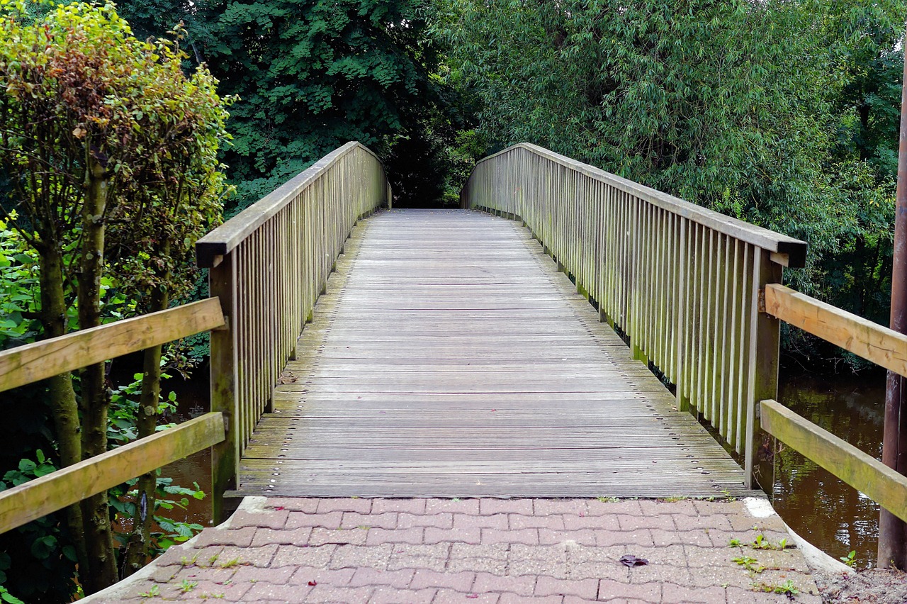 bridge wood river crossing free photo