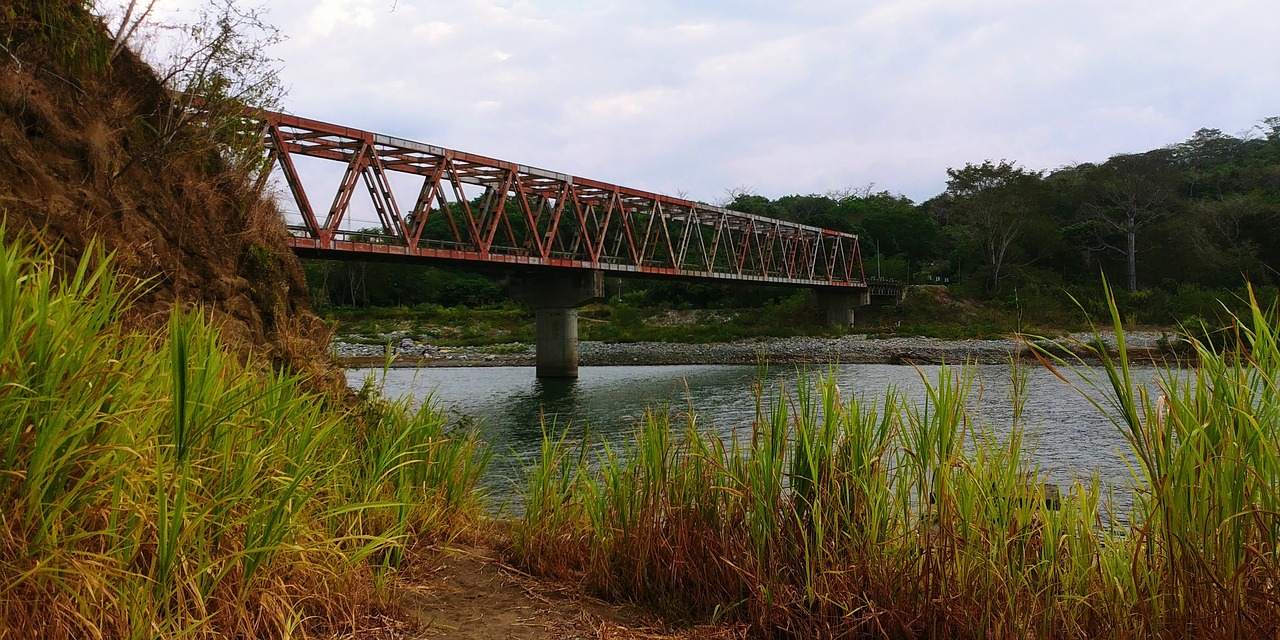 bridge  costa rica  grass free photo