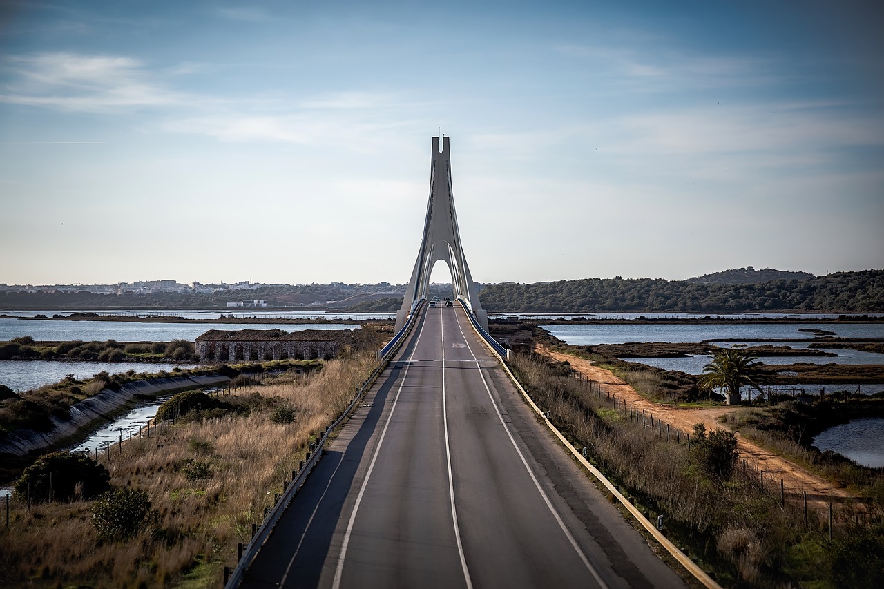 bridge  road  cars free photo