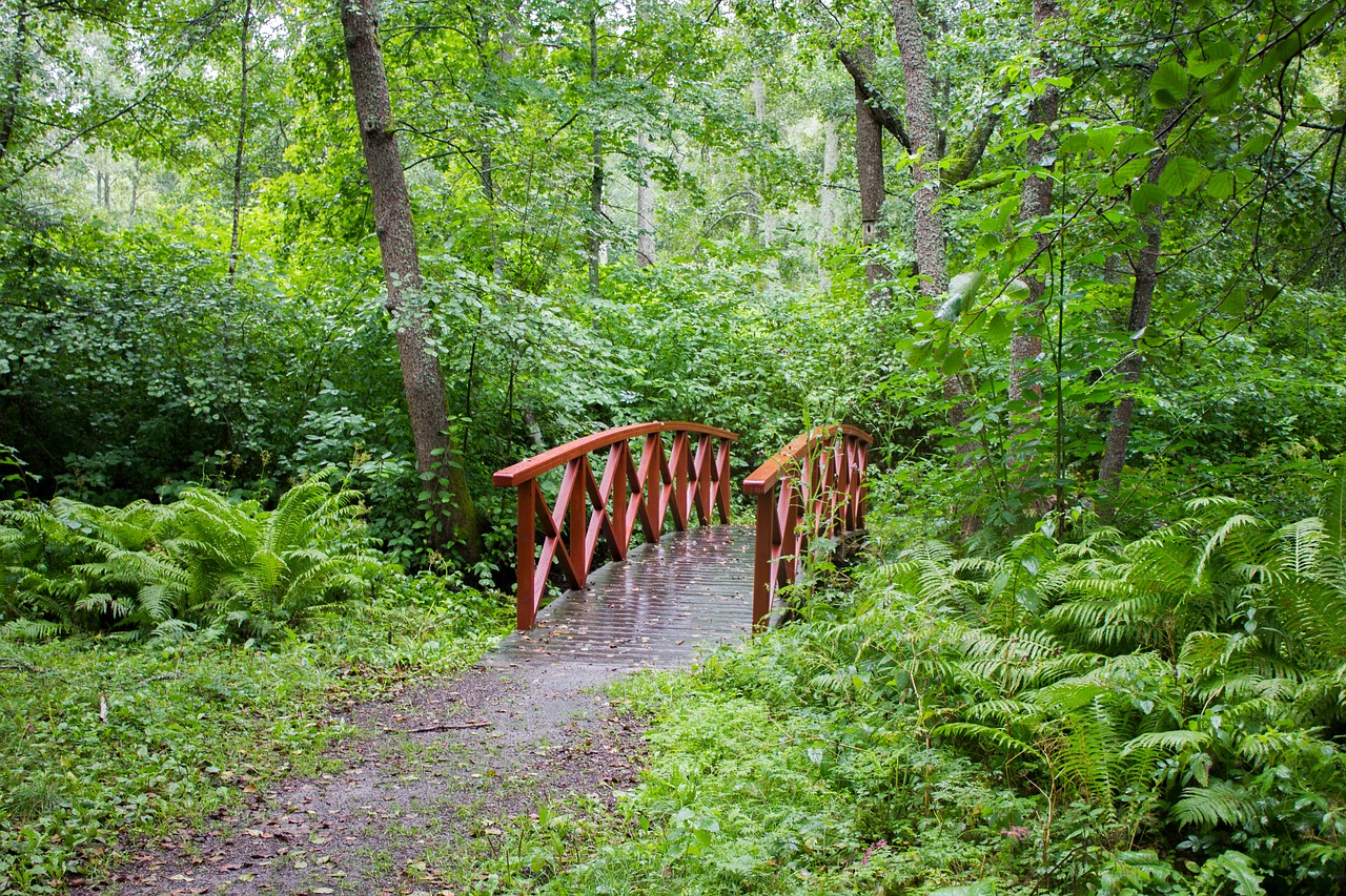 bridge  red  green free photo