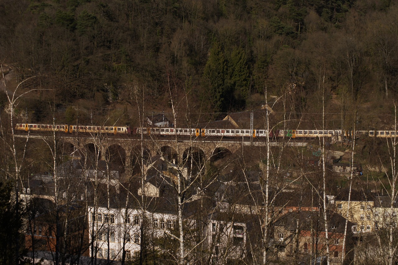 bridge  architecture  train free photo