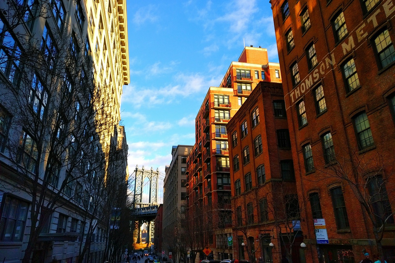 bridge  new york  usa free photo