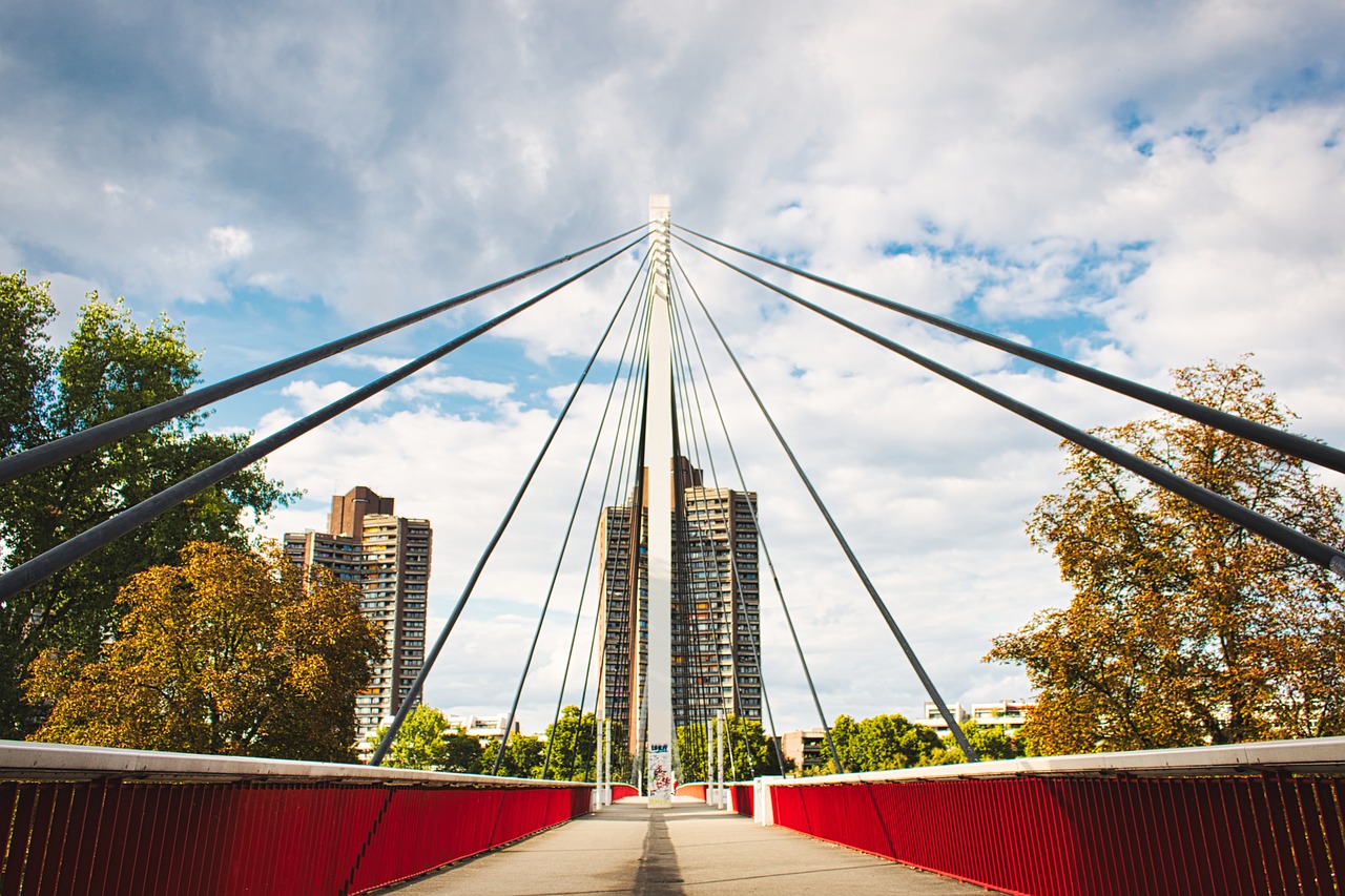 bridge  neckar  mannheim free photo