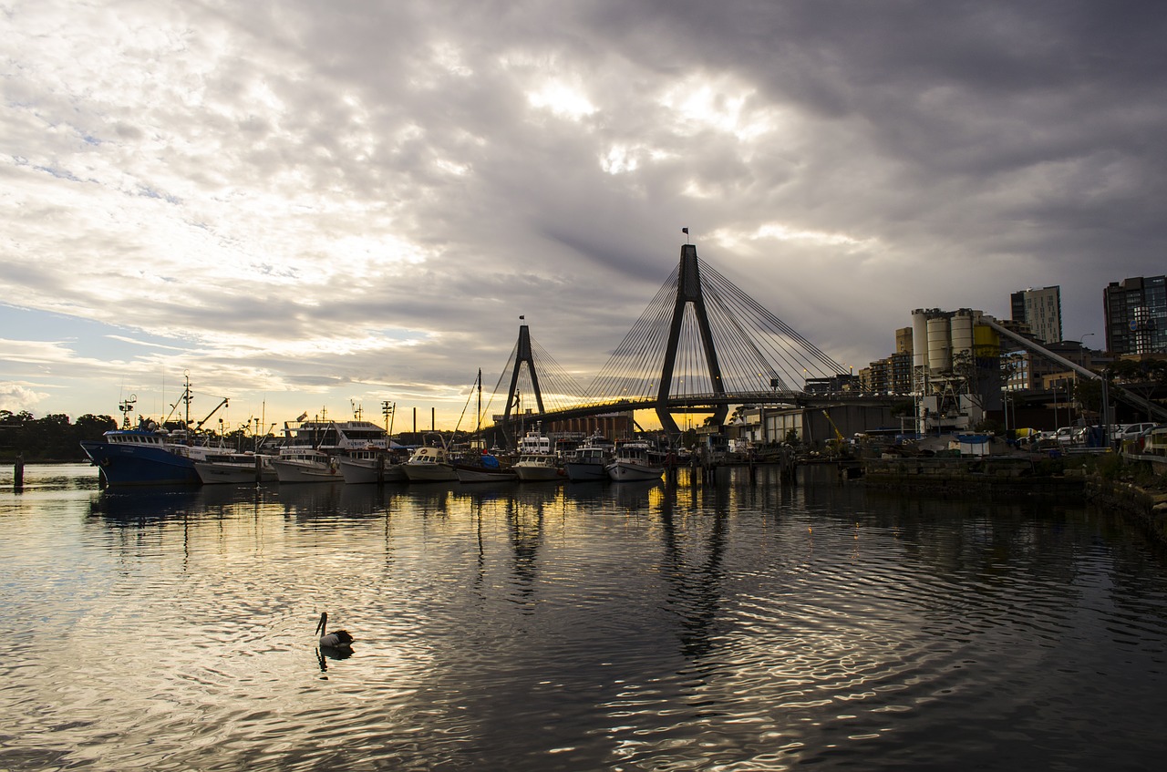 bridge water pelican free photo