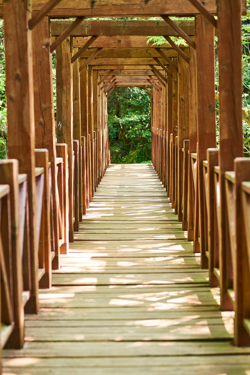 bridge  wood  wood-fibre boards free photo