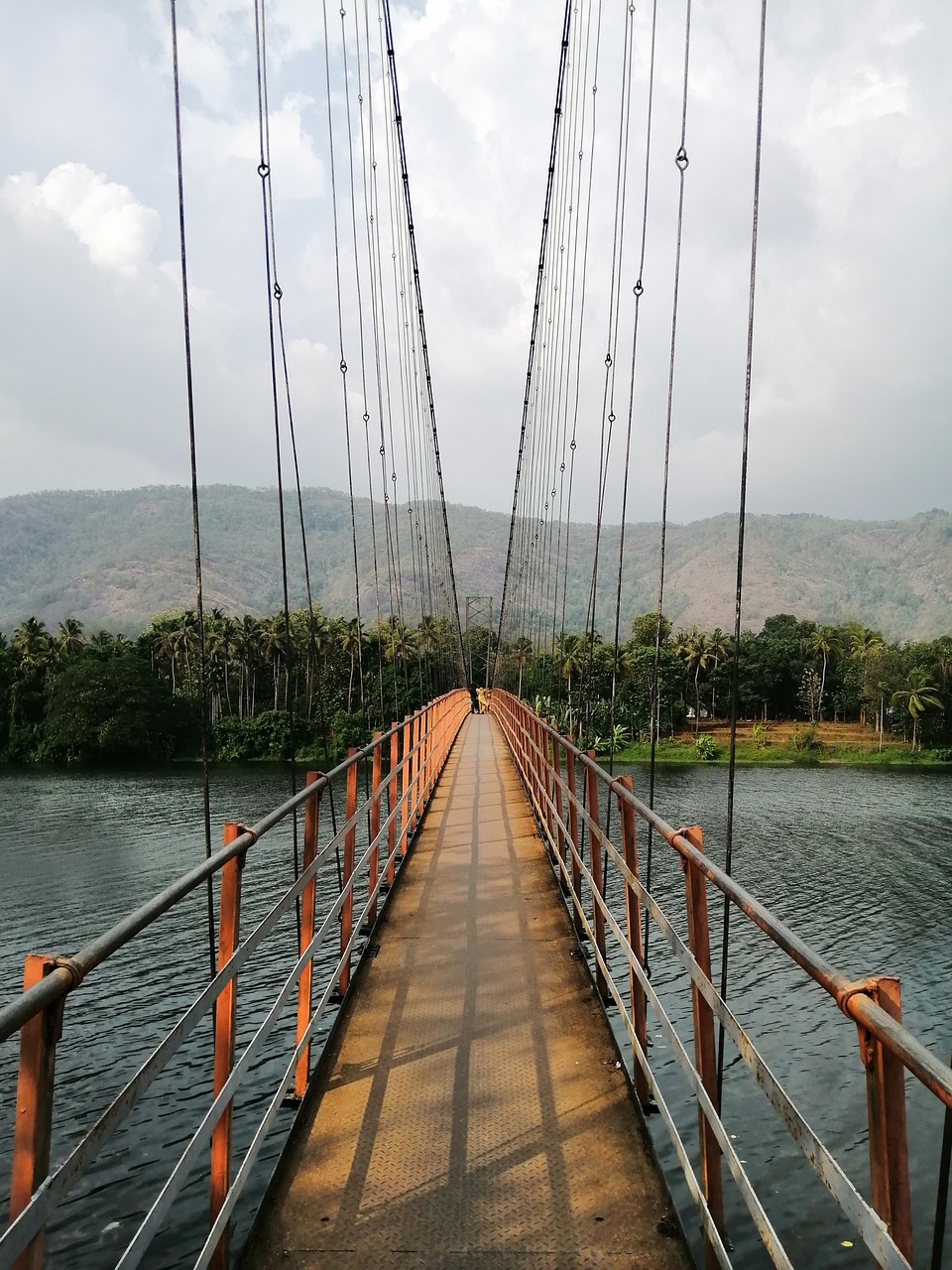 bridge  river  rope bridge free photo