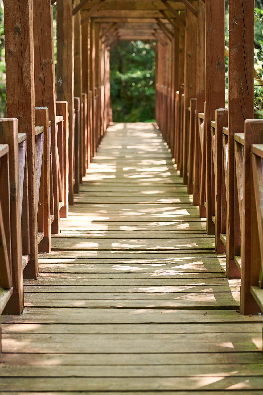 bridge  wood  wood-fibre boards free photo