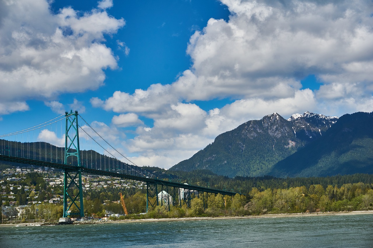 bridge  water  nature free photo