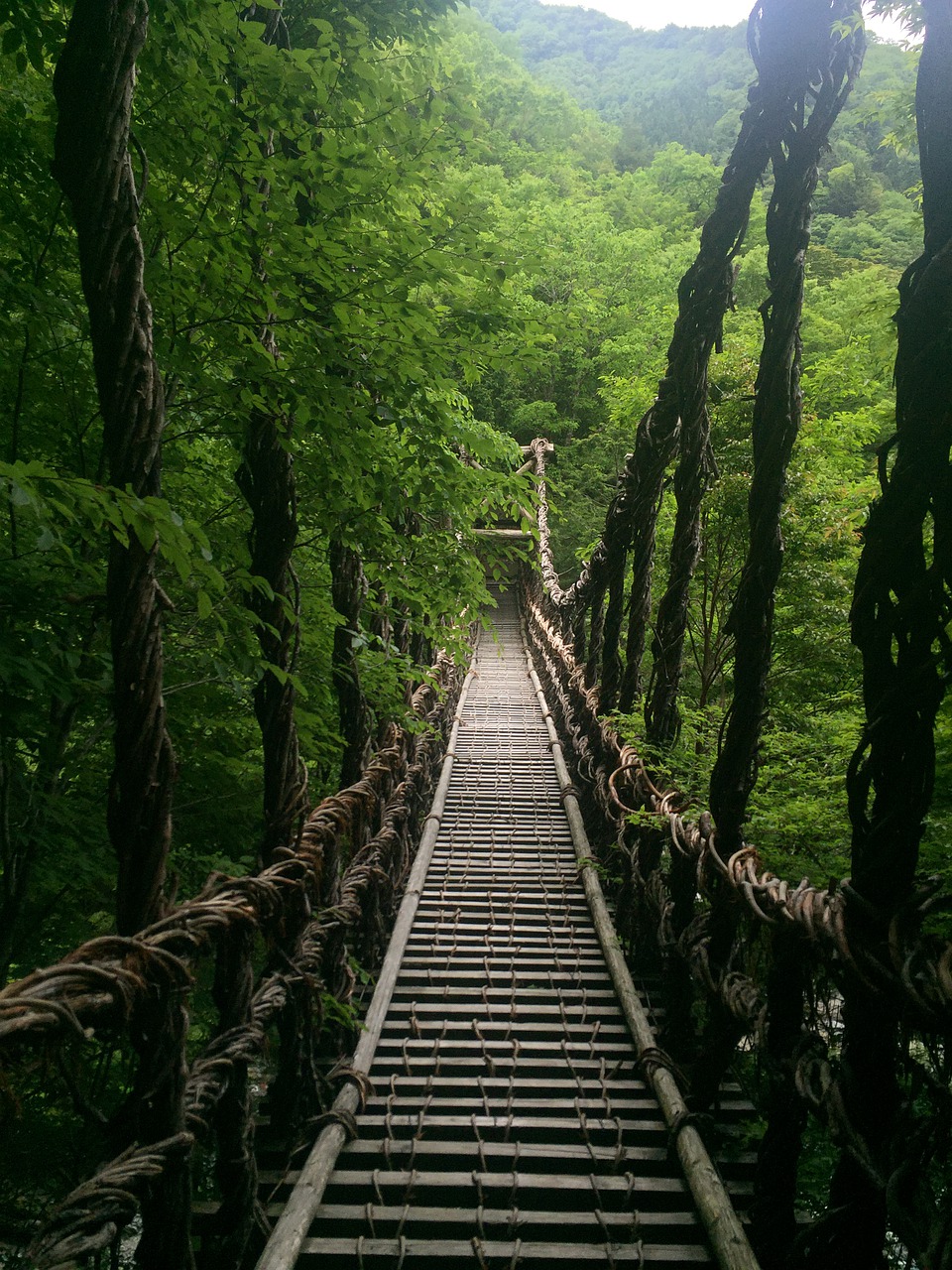 bridge  nature  japan free photo