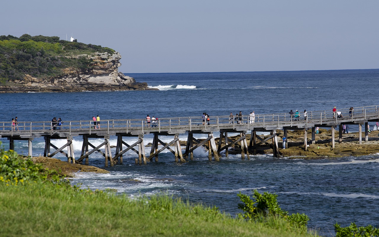 bridge sea ocean free photo