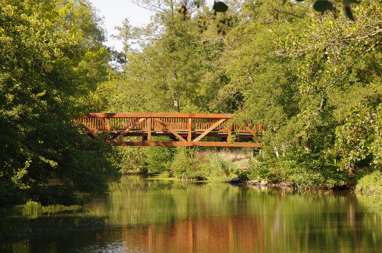 bridge  architecture  landscape free photo