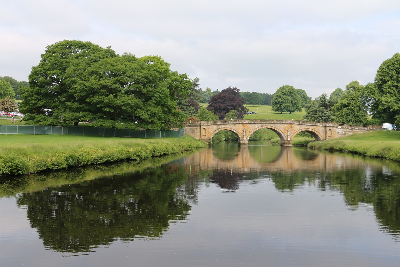 bridge  river  water free photo