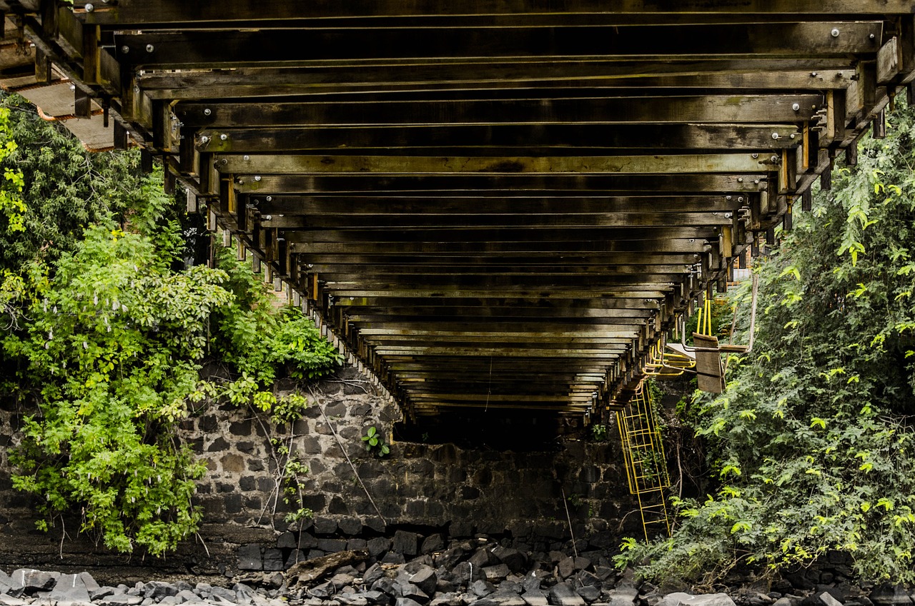 bridge architecture landscape free photo