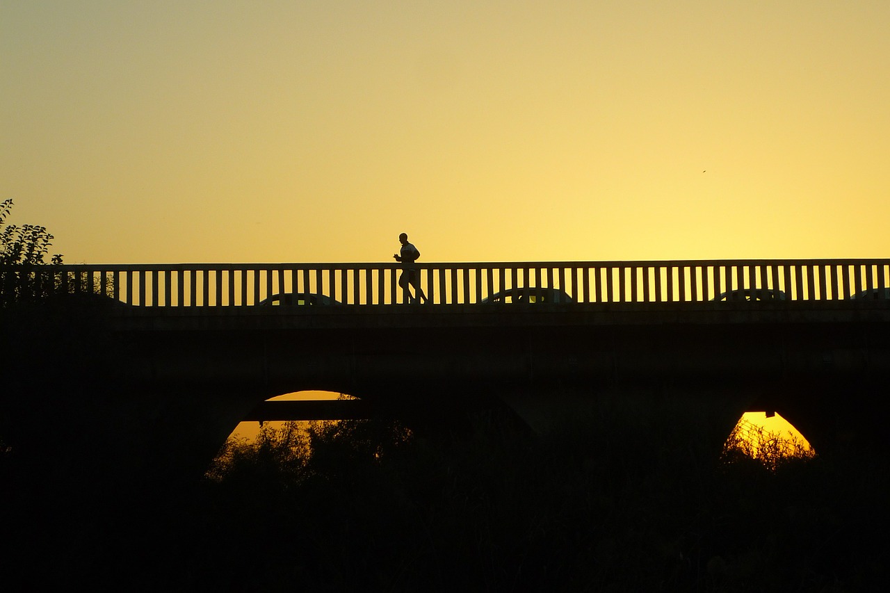 bridge career sunset free photo